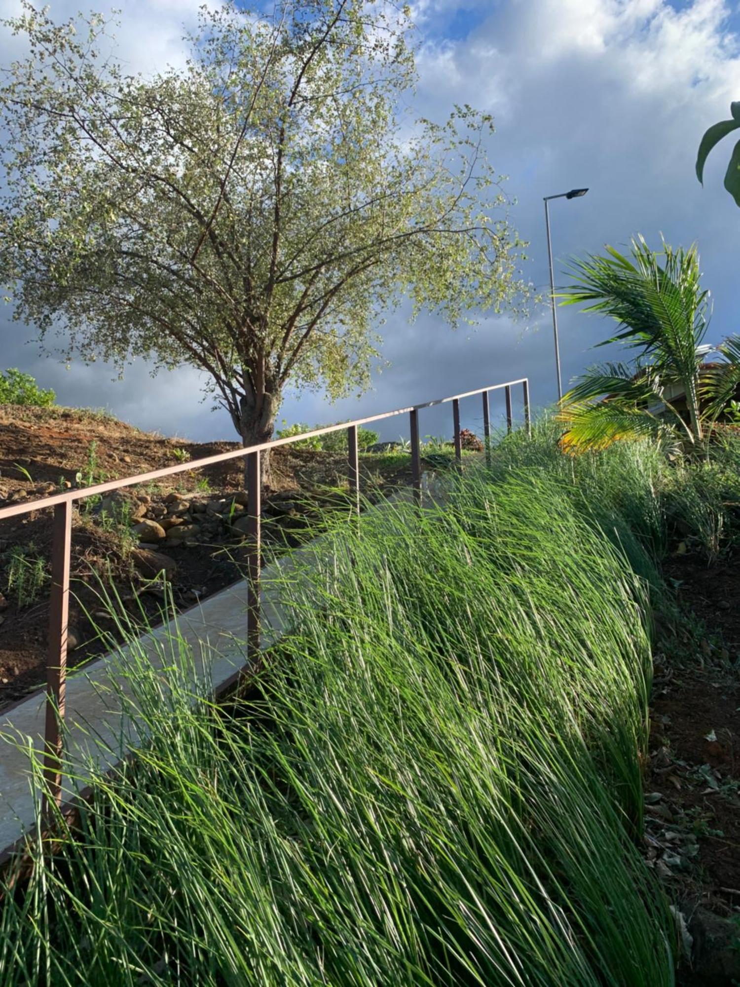 Conectar Con La Naturaleza Esparza Buitenkant foto
